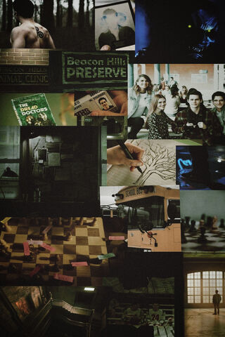 Mysteries of Beacon Hills 🐺🌲