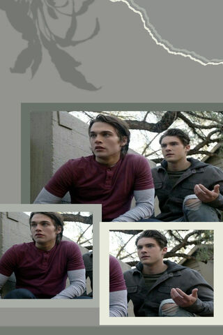 Mysteries of the Night: A Teen Wolf Encounter 🌙🐺