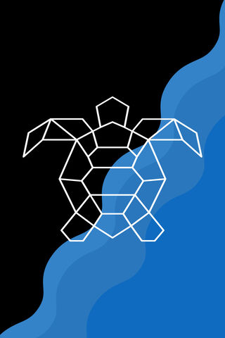 Tortuga: The Geometric Guardian of the Sea 🐢🌊