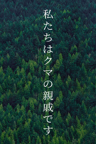 Embrace of the Forest: The Kin of Bears