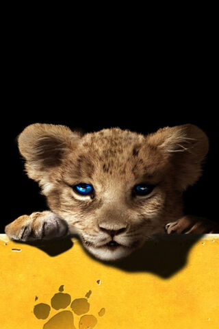 The Heart of the Pride