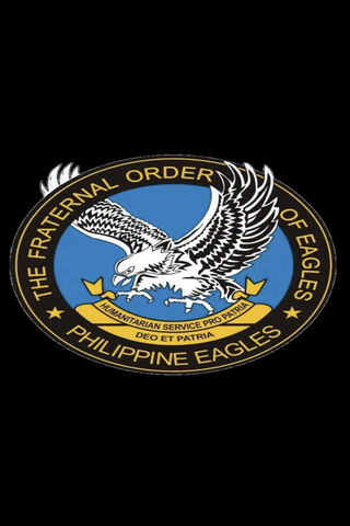 Soaring Together: The Spirit of Brotherhood