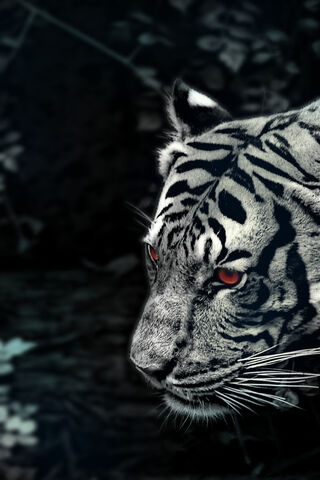 Mystical Majesty: The Enigmatic White Tiger 🐅✨