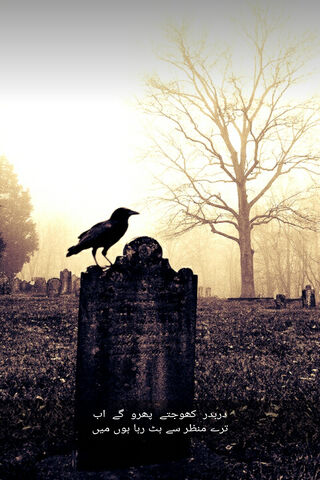 Whispers of Heartbreak: Urdu Sad Poetry