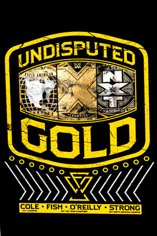 Champions of the Ring: The Undisputed Era 🏆✨