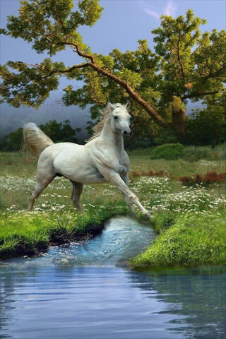 Majestic Grace: The White Horse in Nature 🐎🌿