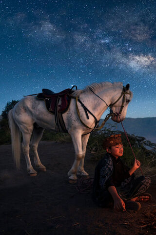 Starlit Dreams: The White Horse's Journey 🌌🐴