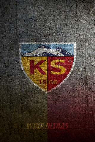 Fierce Loyalty: The Spirit of Wolf Ultras 🐺⚽