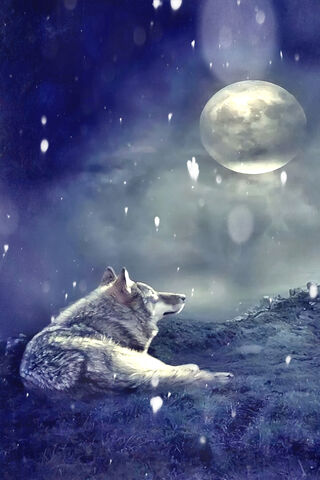 Lone Howl Under the Silver Moon 🌕🐺