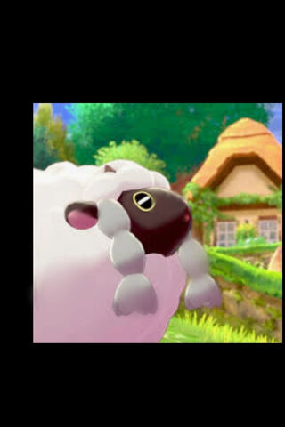 Wooloo's Whimsical Adventure 🌟🐑