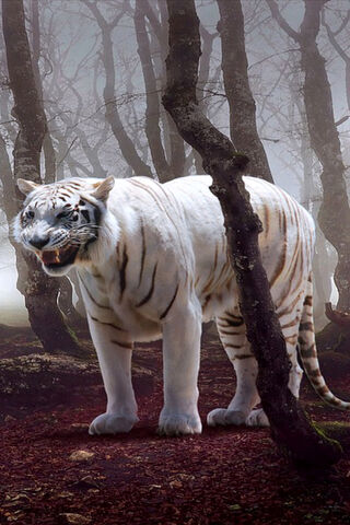 Majestic White Tiger in the Mist 🌫️🐅