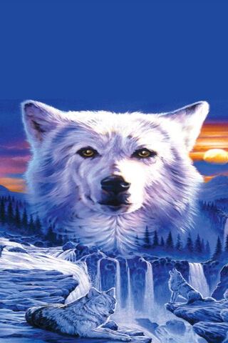 Majestic Wolf: Guardian of the Wilderness 🌌🐺