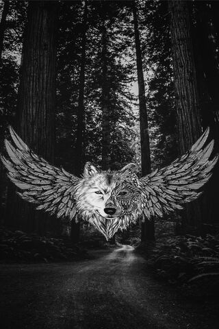 Wings of the Wild: The Wolf Mandala