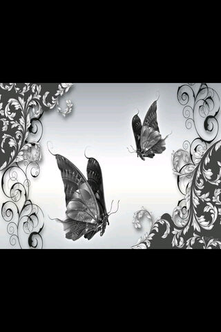 butterfly blk and white