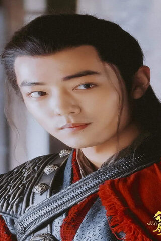 Heroic Elegance: The Charismatic Xiao Zhan