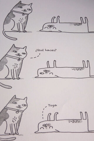 Feline Flexibility: The Art of Cat Yoga 🐾🧘