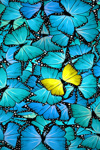 A Splash of Sunshine Among the Blues 🌼🦋