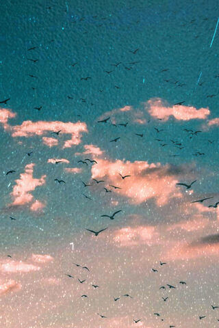 Soaring Dreams: A Dance in the Sky 🌅🕊️