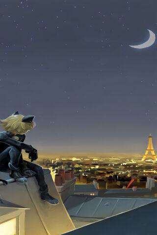 Cat Noir: Guardian of the Parisian Night 🌙🐾