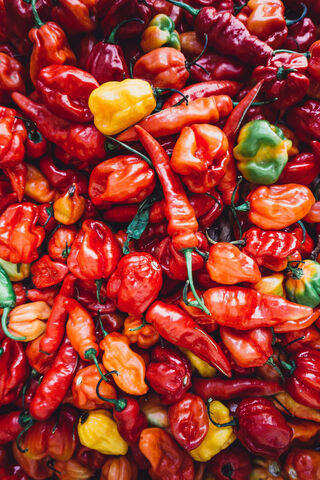 Spicy Symphony: A Colorful Medley of Chillies 🌶️🎨