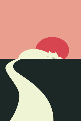 Catto's Sunset Serenity 🌅🐾