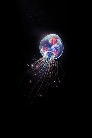 Colorfull Jelly Fish