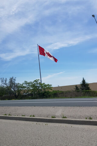 Waving Proud: The Spirit of Canada 🇨🇦