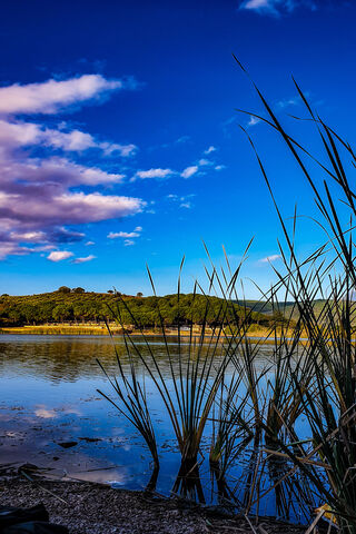 Tranquil Reflections: A Serene Lakeside Escape 🌅