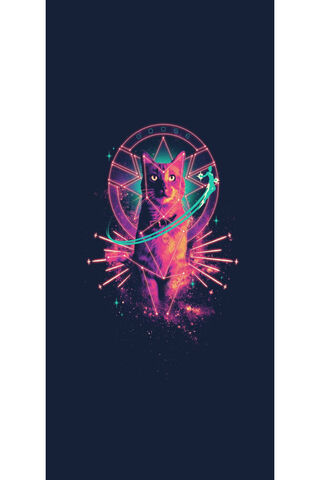 Galactic Goose: The Cosmic Cat 🌌🐾