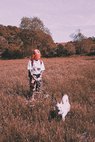 Whispers of Nature: A Day in the Indie Wild 🌾✨