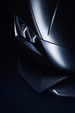Fierce Elegance: The Ne..