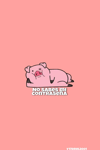 Pato the Playful Pig 🐷✨