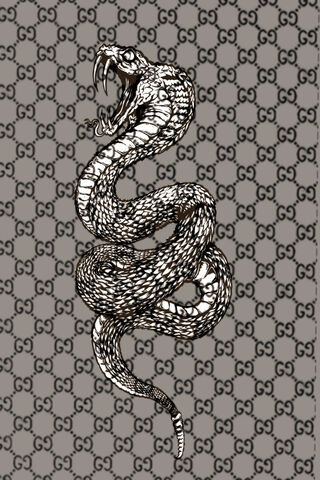 Snake Gucci Snake