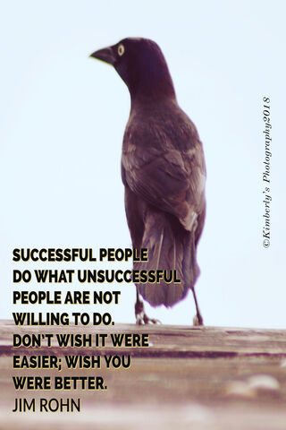 The Path to Success: Embrace the Challenge