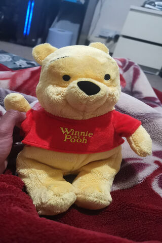 Cuddly Adventures with Winnie the Pooh 🐻✨