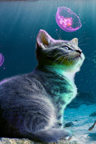Whiskers Underwater: A Feline Adventure 🌊🐾