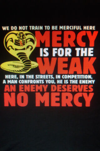 No Mercy: The Cobra Kai Creed 🐍⚔️