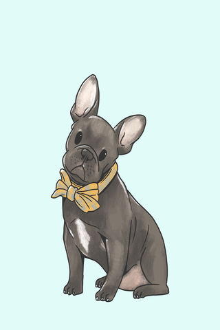 Charming Frenchie in a Bow Tie! 🐶🎀
