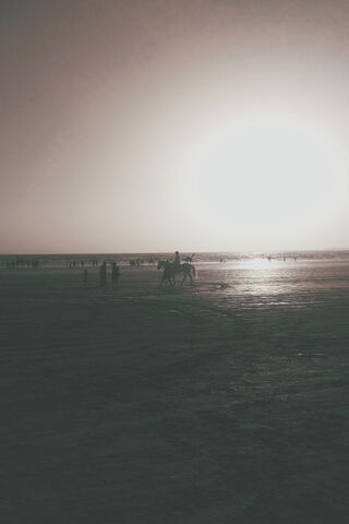 Sunset Gallop: A Serene Ride by the Shore 🌅🐎