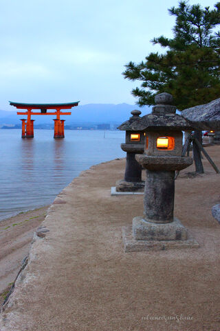 Serenity at Kaplan's Torii Gate 🌅