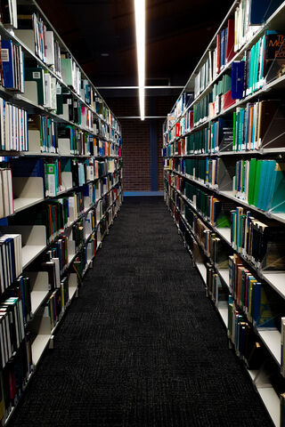 A Journey Through Knowledge 📚✨