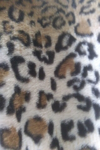 Wild Elegance: The Allure of Leopard Print 🐆✨