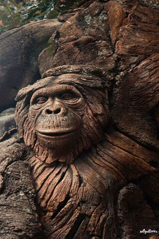 Whimsical Wood: The Monkey Masterpiece 🐒✨