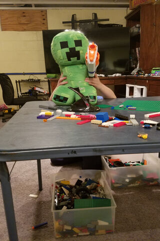 Cozy Minecraft Cat Nap 🐱💤