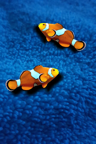 Nemo's Cozy Adventure on the Blue Rug