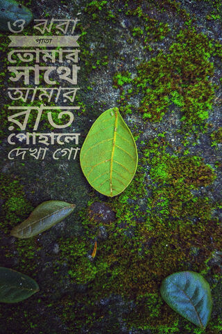 Whispers of Nature: A Leaf's Lament 🍃