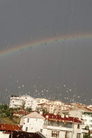 Colors of Rain: A Rainbow's Embrace 🌈☔