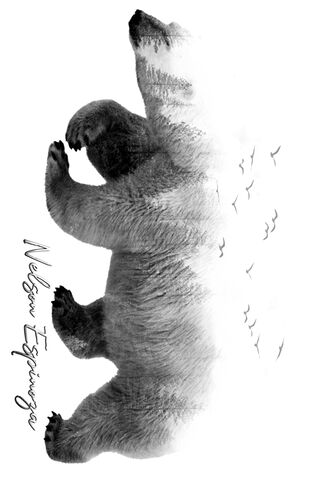 Whispers of the Wild: Bear Dreams