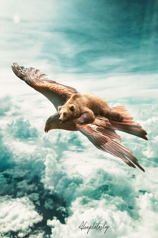 Soaring Spirits: The Bear and Eagle Adventure 🦅🐻