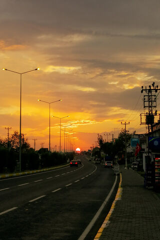 Sunset Roar: The Brush Tiger Awakens 🌅🐅